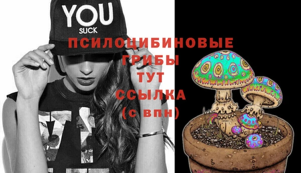 амф Алексеевка