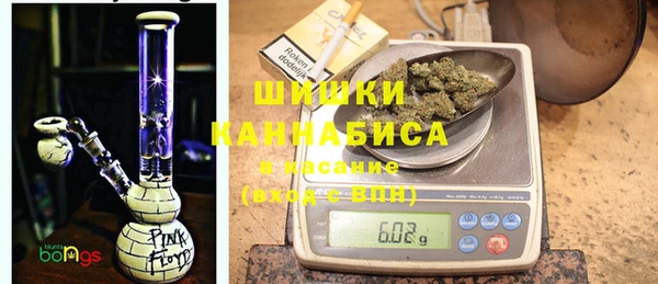 гидра Алзамай