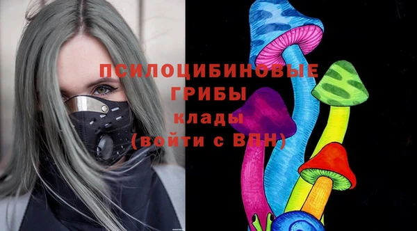 амф Алексеевка