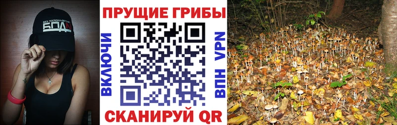 мега как войти  Полысаево  Галлюциногенные грибы Psilocybe  даркнет сайт 