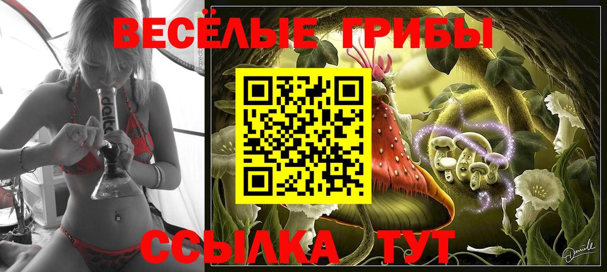 Псилоцибиновые грибы мицелий  Псилоцибиновые грибы Psilocybine cubensis  Полысаево  Вход с VPN 